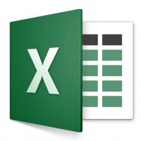 Microsoft Excel® 