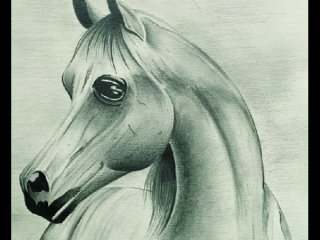 Drawing Course Drawing Course