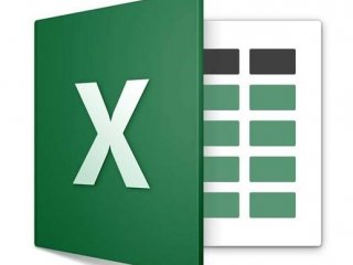 Microsoft Excel® Microsoft Excel®