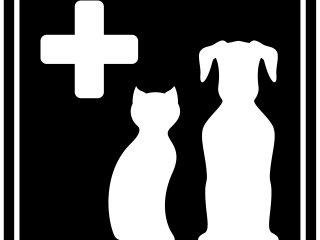 First Aid for Dogs and Cats First Aid for Dogs and Cats