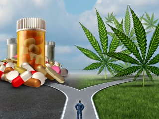 Medical Marijuana Medical Marijuana