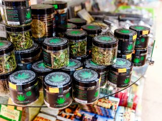 Start Your Own Cannabis Business Start Your Own Cannabis Business